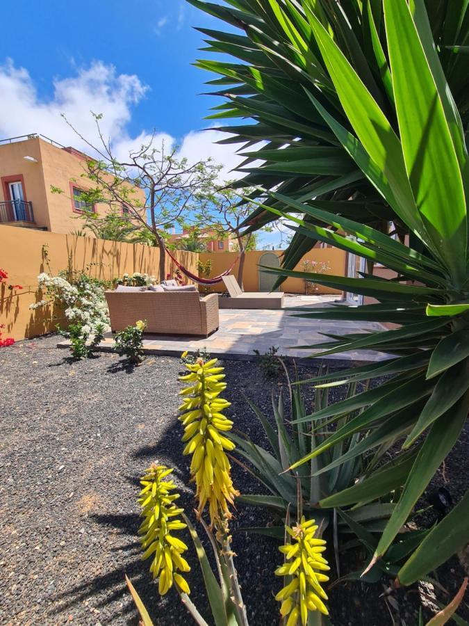 Casa Zalla 110M2, 200M2 Garden, Pool, 1Gb Wi-Fi, Private Parking コラレホ エクステリア 写真